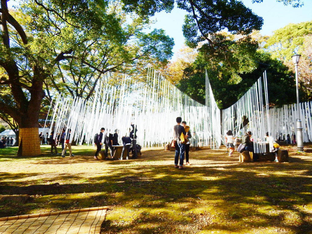 森に広がる「秋時雨」にダイブ！ 経験引き継ぐ学生団体が広場をプロデュース