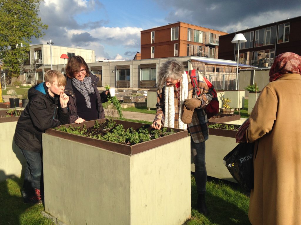 デンマーク発、ホームレスと社会を結ぶ緑のパブリックスペース