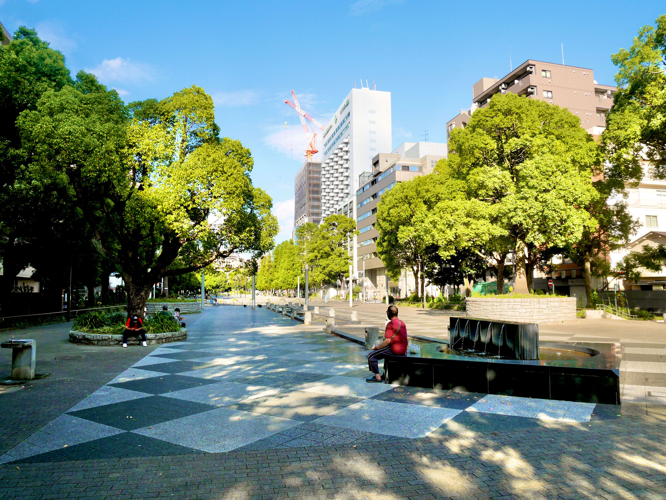 50年続く歩行者空間整備のビジョン！？横浜市の都市デザイン「緑の軸線